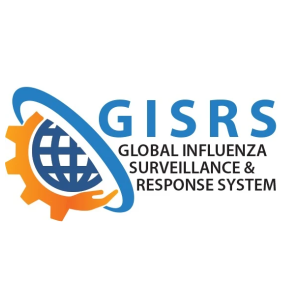 Advancing RSV surveillance and disease burden as part of an expanded Global Influenza Surveillance and Response System, Lima, Peru, 22–26 April 2024