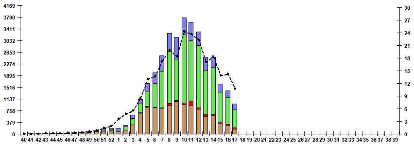 Fig. 5. Monitoring of influenza viruses detection by RT-PCR in Russia, season 2024/25